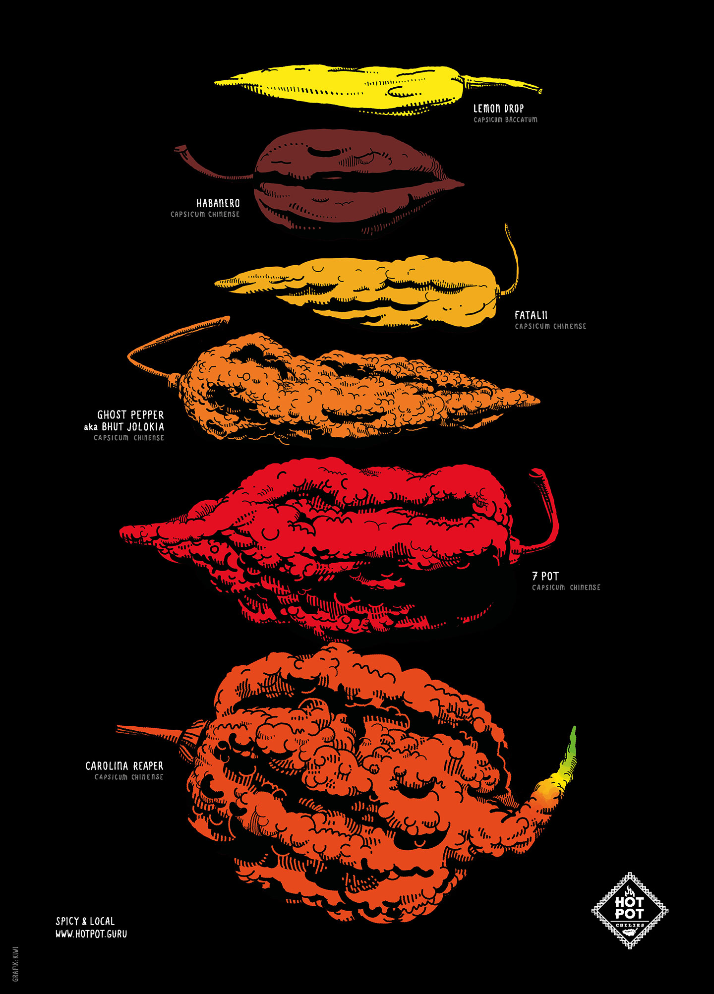 Plakat Chilischoten für Hot Pot Chilies, Lemon Drop, Habanero, Fatalii, Ghost Pepper (Bhut Jolokia), 7 Pot Barackpore, Carolina Reaper